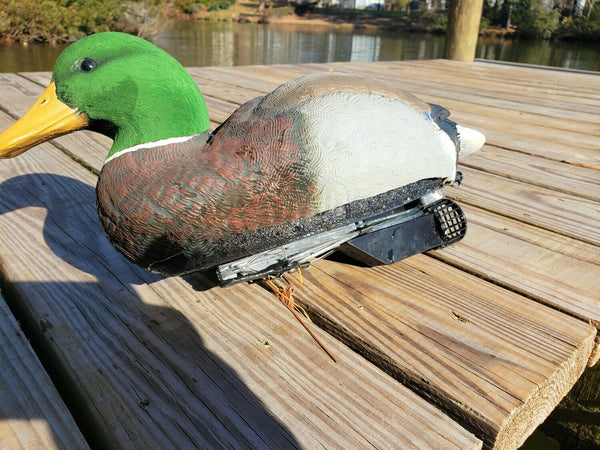 Roughneck Swimmer