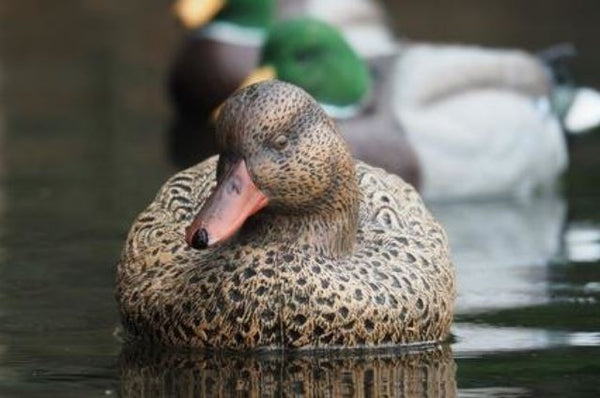 Light & Lethal Mallard Decoys