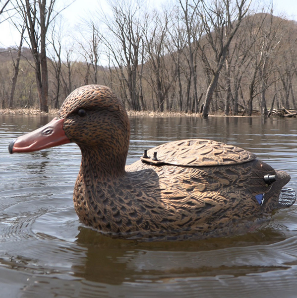 The Natural Flutter Extreme Mallard