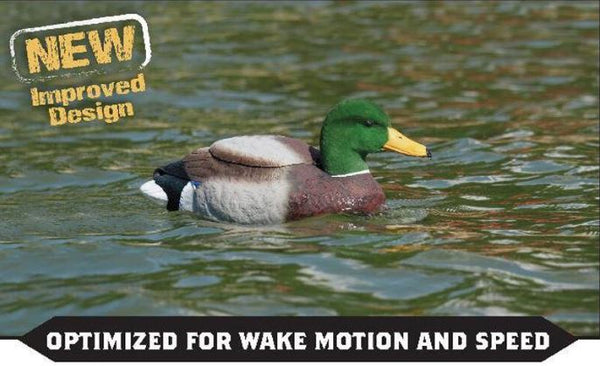 The Natural Swimmer Mallard