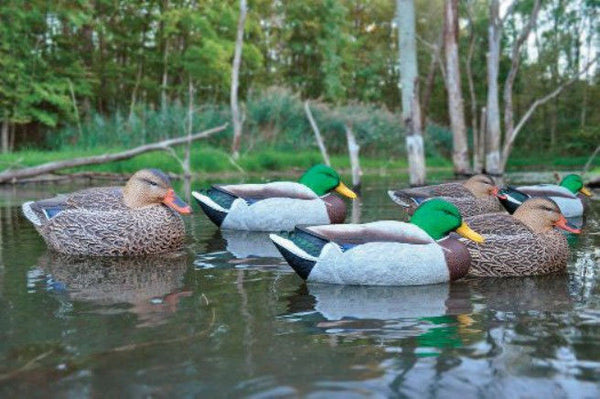 'Rugged' series | Floater Magnum Mallard 6pk