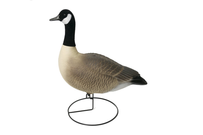 Decoys