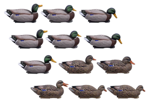 'HD' series | Floating Mallards 12pk