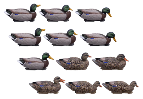 'HD' series | Floating Mallards 12pk