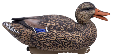 'HD' series | Floating Mallards 12pk