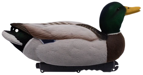 'Live' series | Mallard Floaters - Fully Flocked 6pk