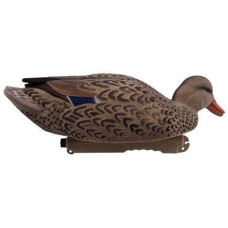 'Live' series | Mallard Floaters - Fully Flocked 6pk