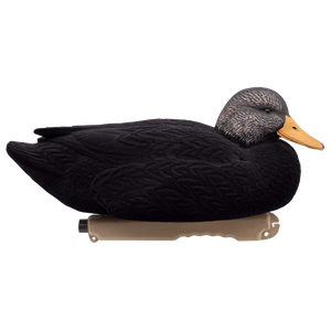 'Live' series | Floating Black Ducks - Fully Flocked