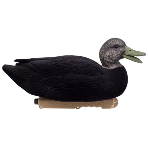 'Live' series | Floating Black Ducks - Fully Flocked