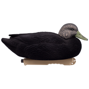 'Live' series | Floating Black Ducks - Fully Flocked