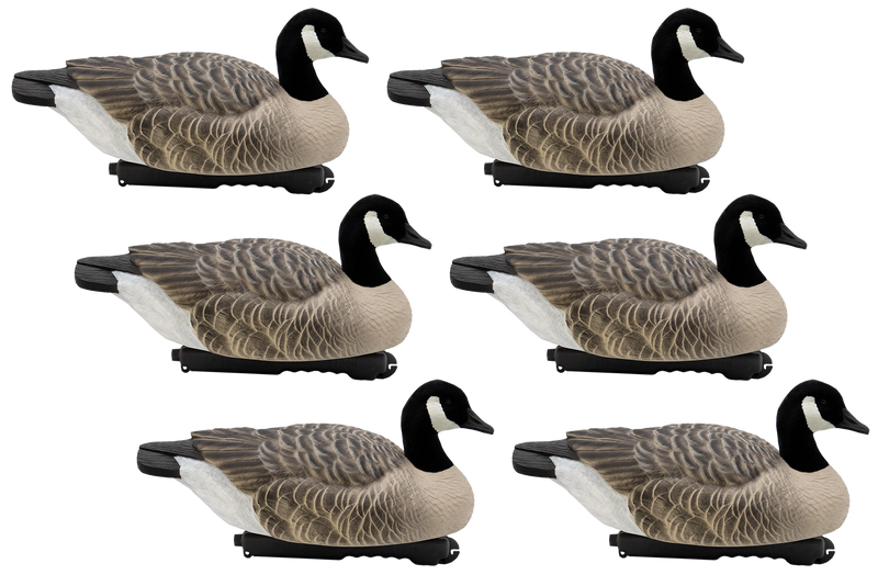 'Last Pass' series | Floating Canada Geese - Flocked Heads