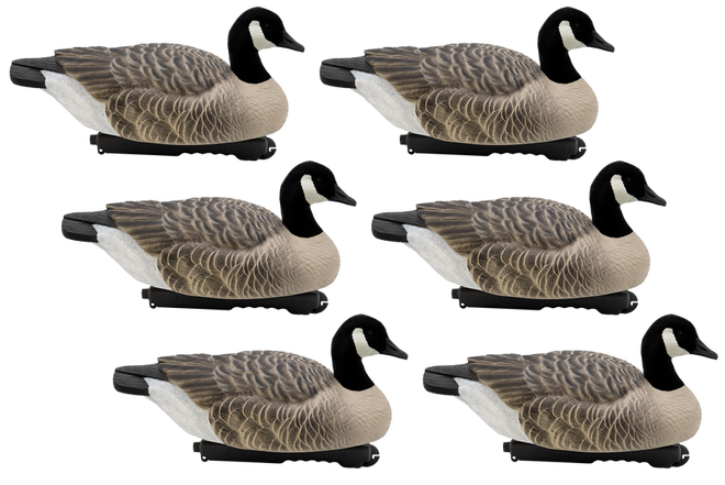 Goose Decoys