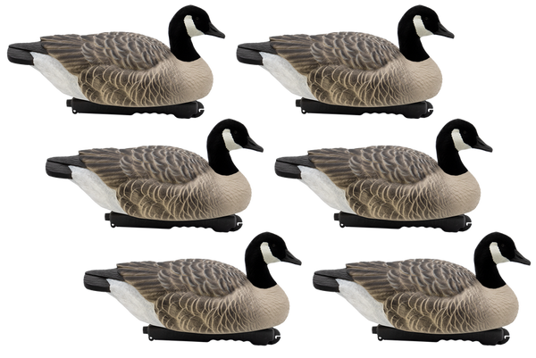 'Last Pass' series | Floating Canada Geese - Flocked Heads