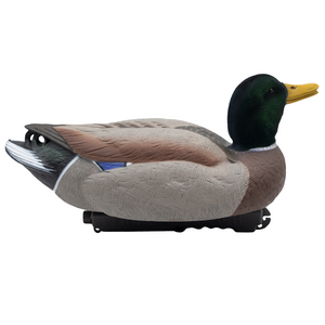 'Live' series | Mallard Floaters - Flocked Drake Heads