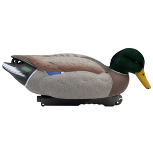 'Live' series | Mallard Floaters - Flocked Drake Heads