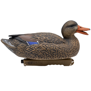 'Live' series | Mallard Floaters - Flocked Drake Heads